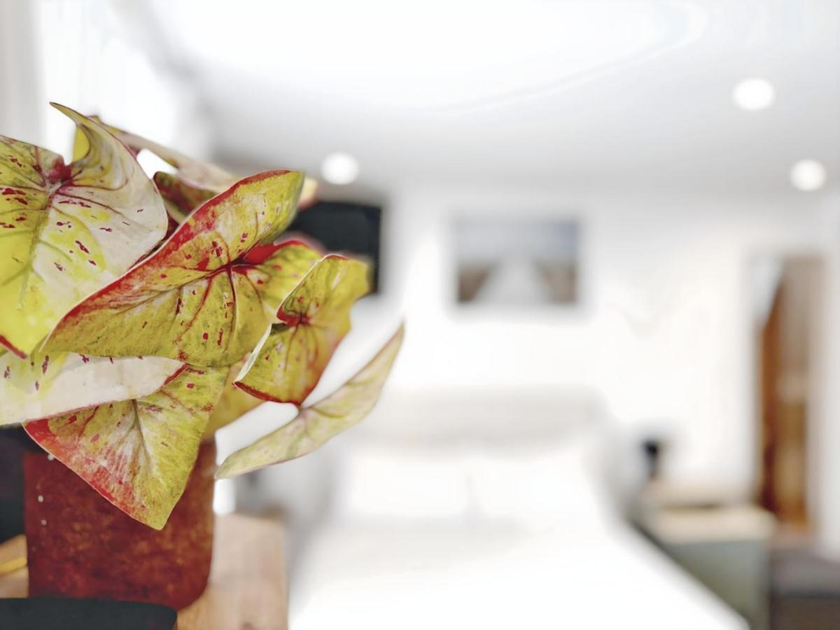Apartment Alfacinha Fully Equipped By Homeful Homes Lissabon